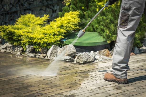 Best Heavy Equipment Washing  in Roselle Park, NJ