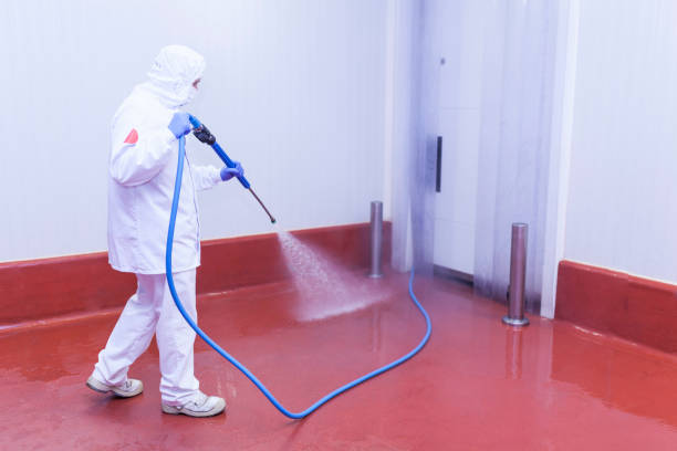 Best Driveway Pressure Washing  in Roselle Park, NJ