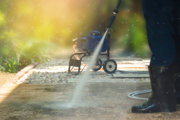Best Rust Removal  in Roselle Park, NJ